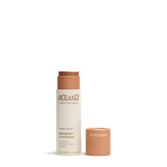 Highlighter -0.3 OZ.